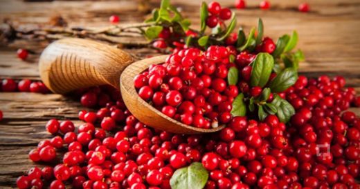 Kızılcık Türleri Nelerdir?